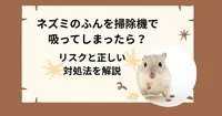 ネズミのふんを掃除機で吸ってしまったら？リスクと正しい対処法を解説
