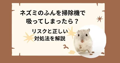 ネズミのふんを掃除機で吸ってしまったら？リスクと正しい対処法を解説